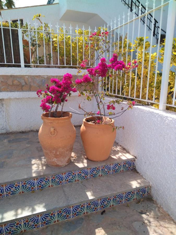 Apartamento Romero Cabo Roig, Solarium Opcional Orihuela Eksteriør billede